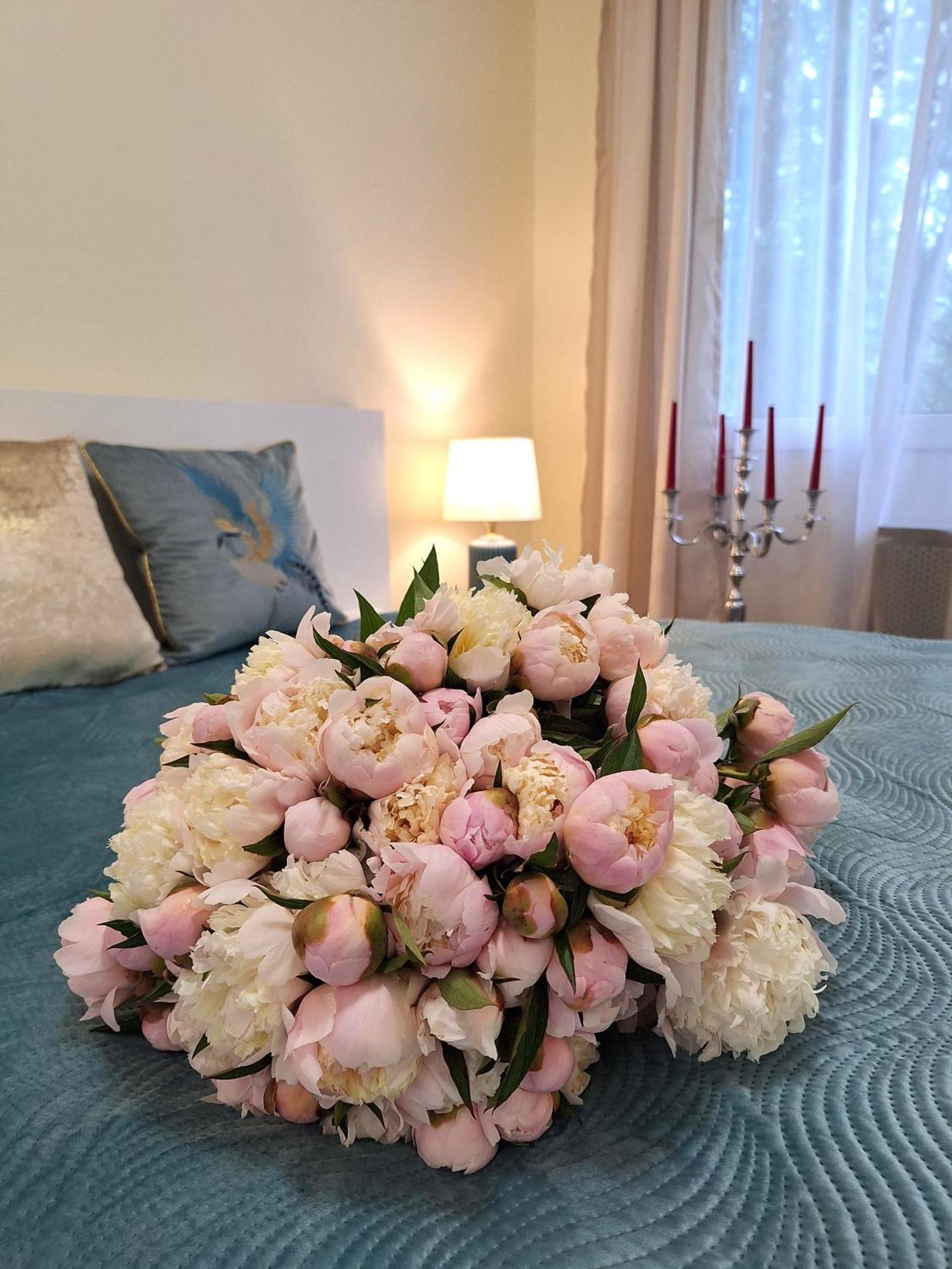 Apartamento Albina
